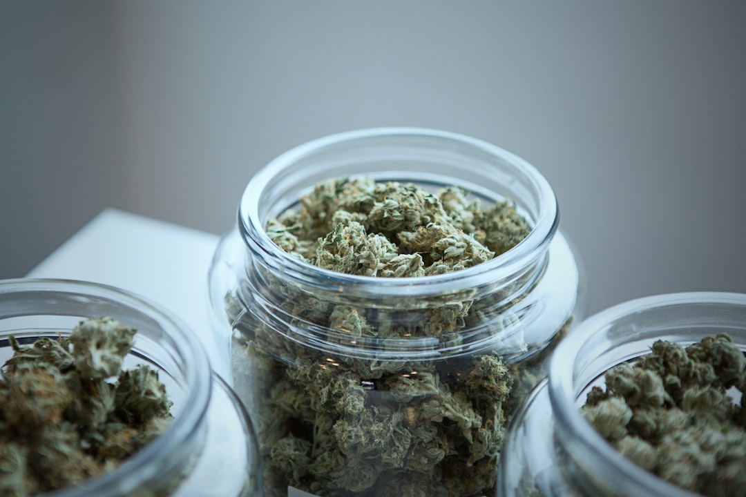 Reef Dispensary Queen Creek: Your Ultimate Cannabis Destination